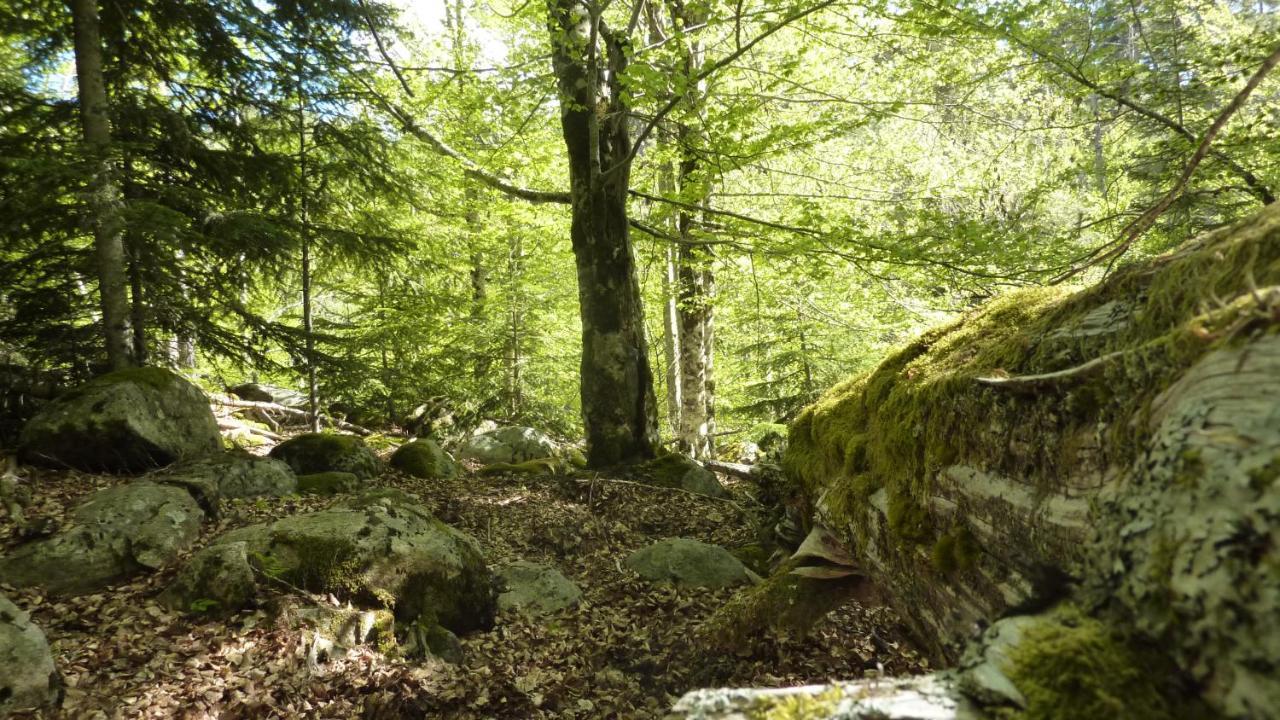 Domaine Codaleone Serriera  Exteriör bild