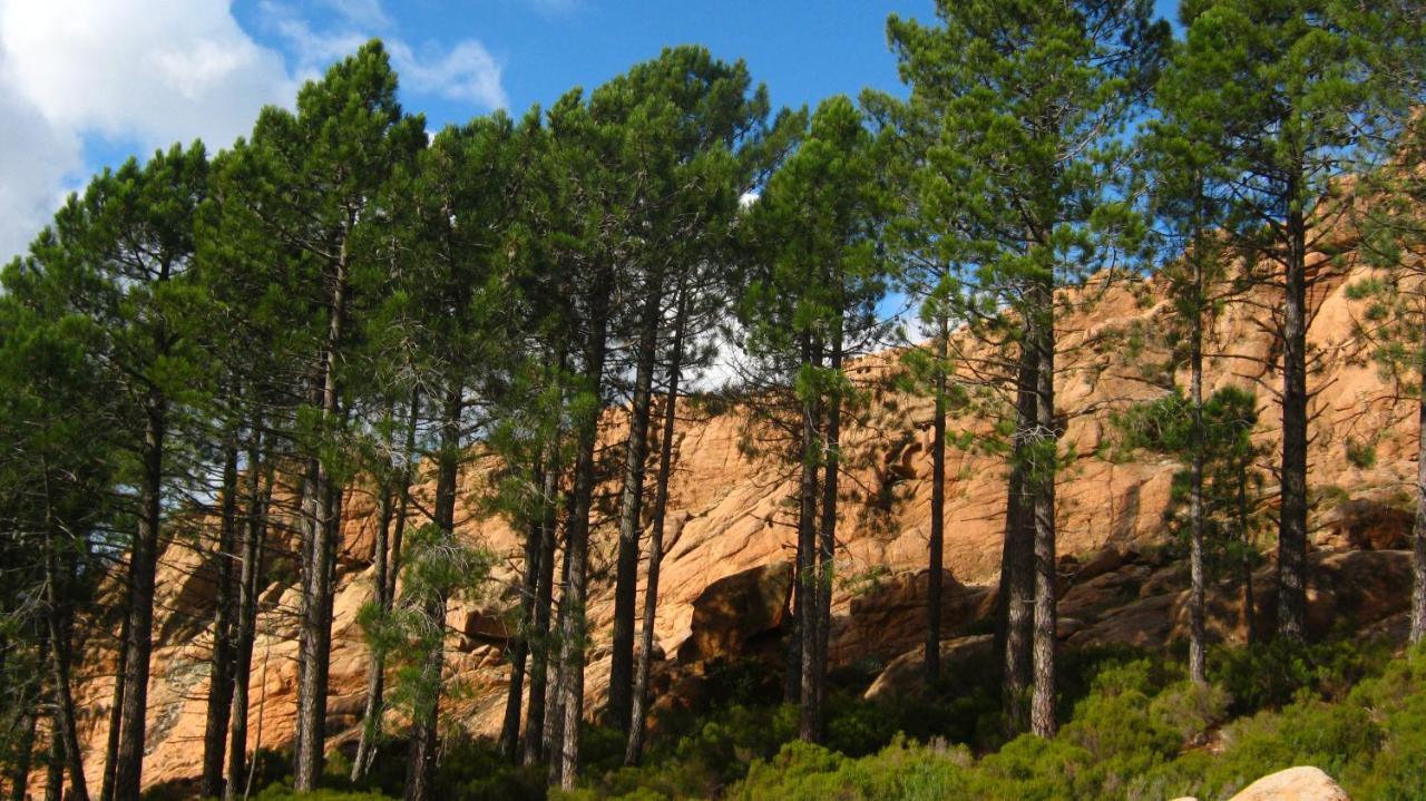 Domaine Codaleone Serriera  Exteriör bild